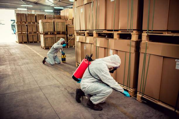 Best Pest Control Near Me  in Riddle, OR