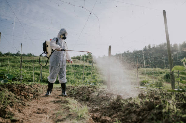 Best Pest Prevention Services  in Riddle, OR