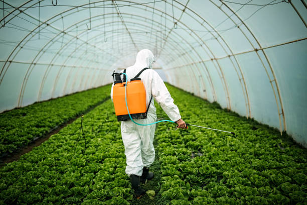 Best Pest Removal Services  in Riddle, OR