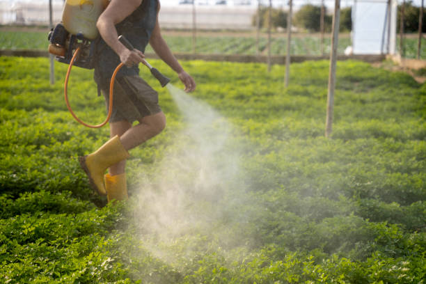 Best Affordable Pest Control Services  in Riddle, OR