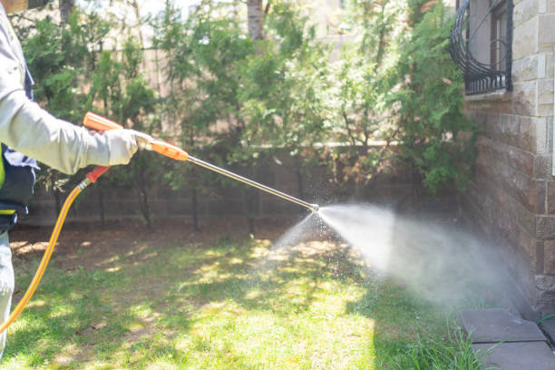 Best Best Pest Control Companies  in Riddle, OR
