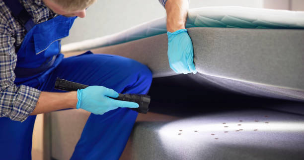 Best Residential Pest Control  in Riddle, OR