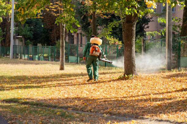 Best Local Pest Control Services  in Riddle, OR